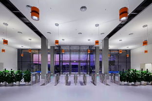 寶鷹精品項目 國際學(xué)校裝飾典范 薈同學(xué)校深圳校區(qū)