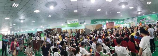 兔寶寶環(huán)保行7月29日蘇州站 綠色裝飾，感恩回饋